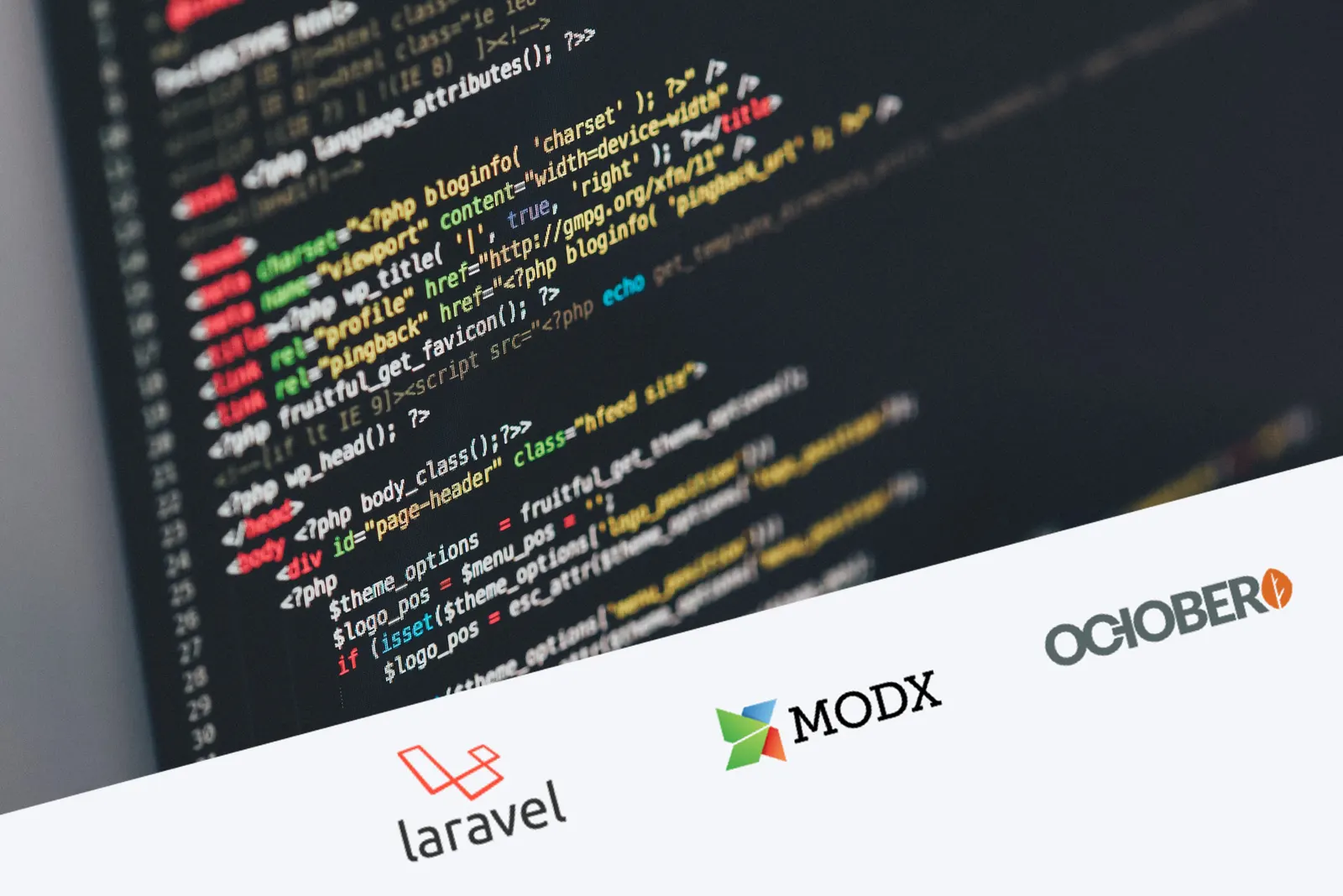 Which CMS to choose in 2022? The best CMS platforms according to trusted sources.