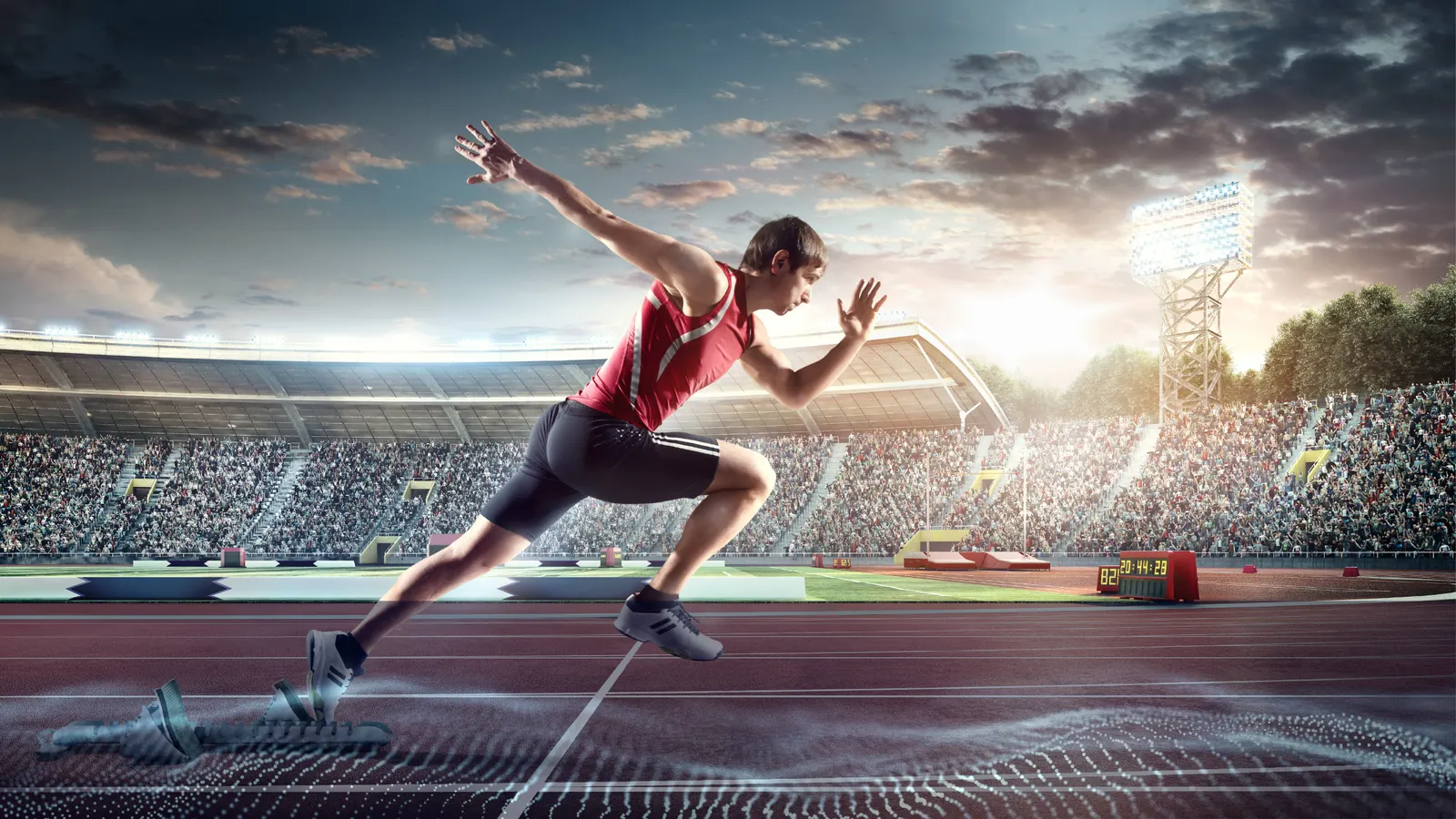 How AI Is Transforming the Sports Industry
